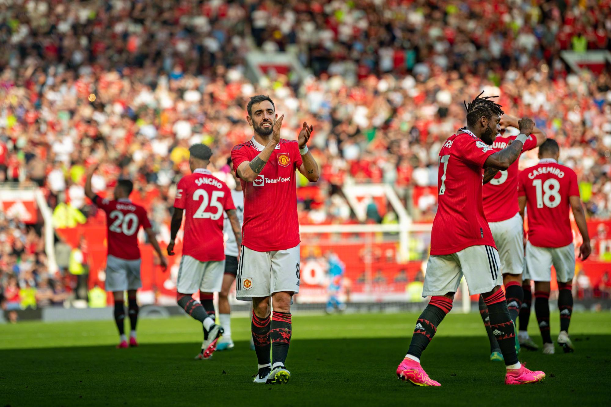 增添了全新 增添了全新